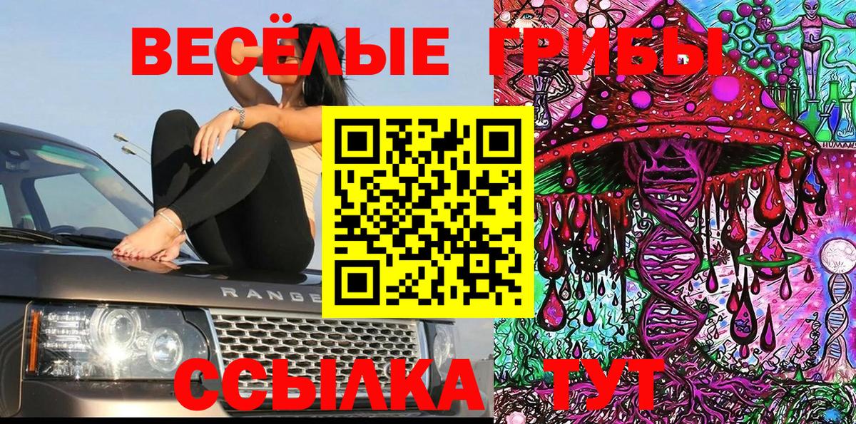 Псилоцибиновые грибы мицелий  Вход с VPN  Анжеро-Судженск 