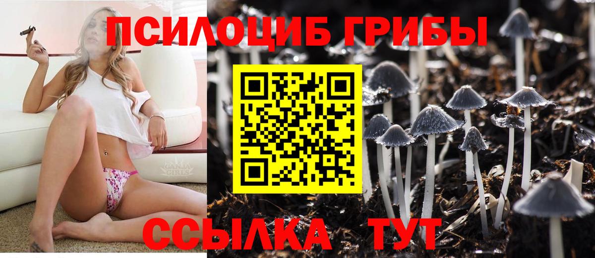 Галлюциногенные грибы прущие грибы Анжеро-Судженск